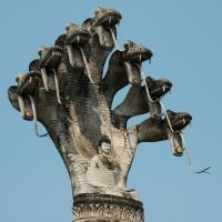 SerpentKing's Avatar